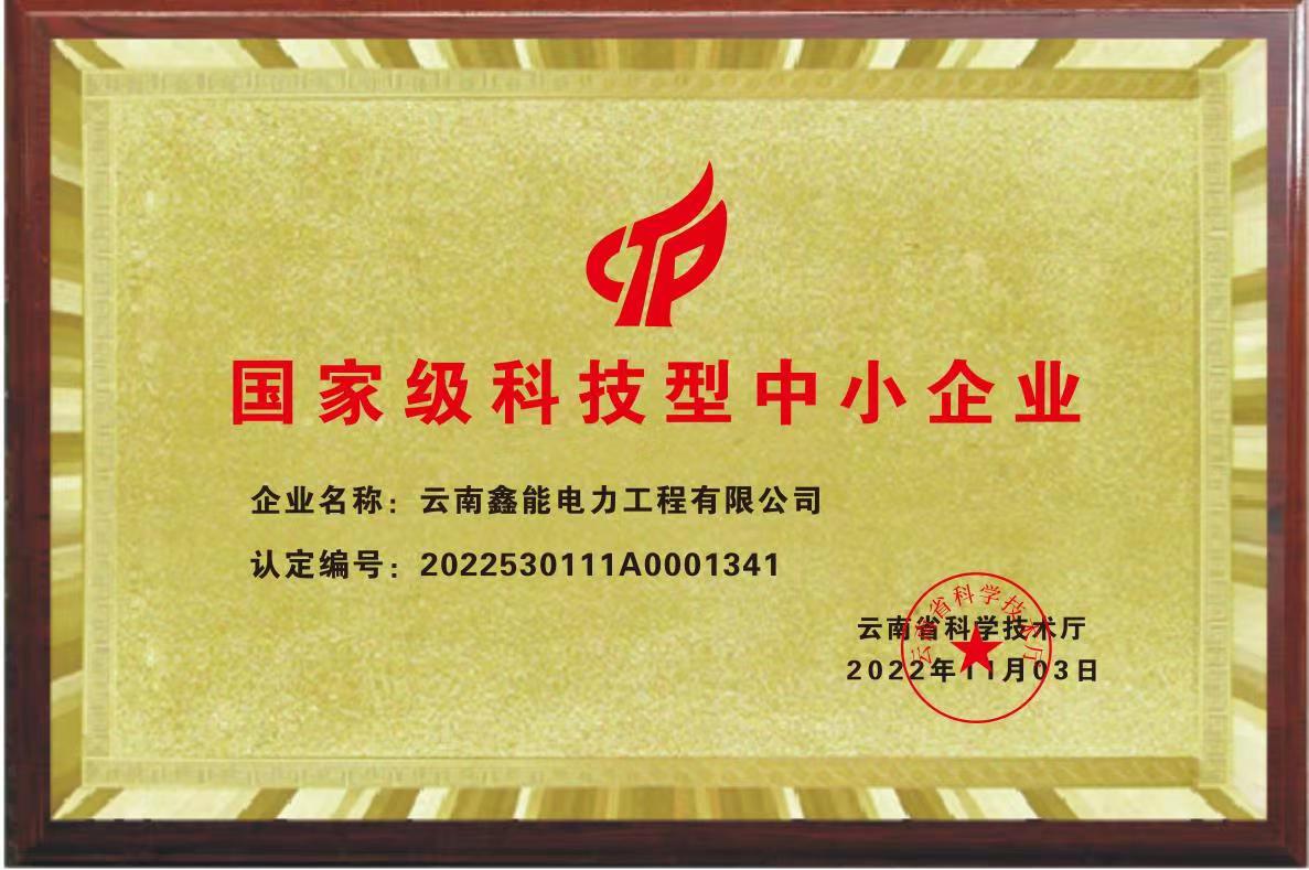 國家級科技型中小企業證書